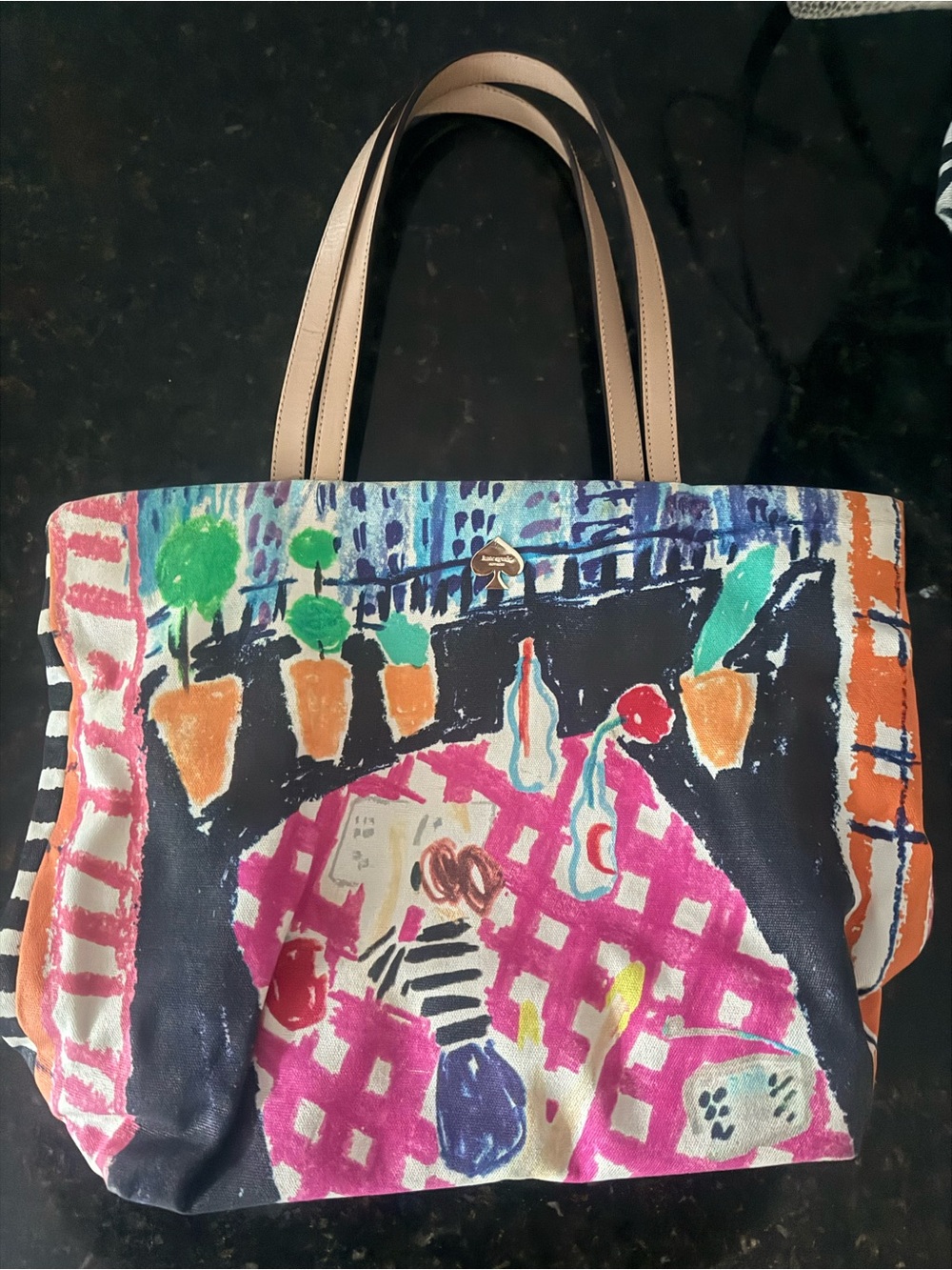 kate spade Multicolor Canvas Tote with Pink Check & Tan Handles